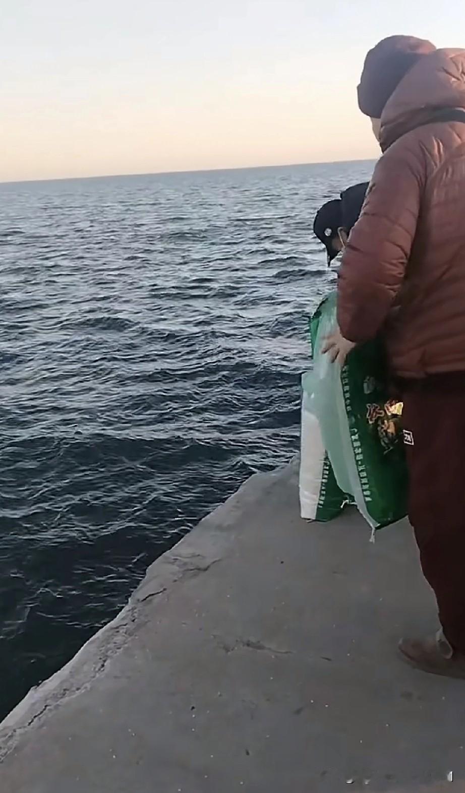 傍晚时分，一名女子在海边散步，瞧见围栏外有一群人正用剪子剪开一袋袋大米，将其倒入