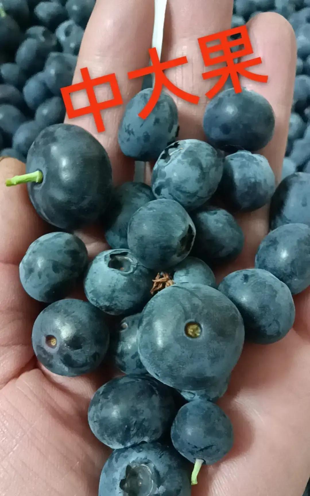 父亲轮到二弟家，弟媳每天三顿清水煮面，筷子一搅就是一碗。父亲吃了一个月，嘴角起