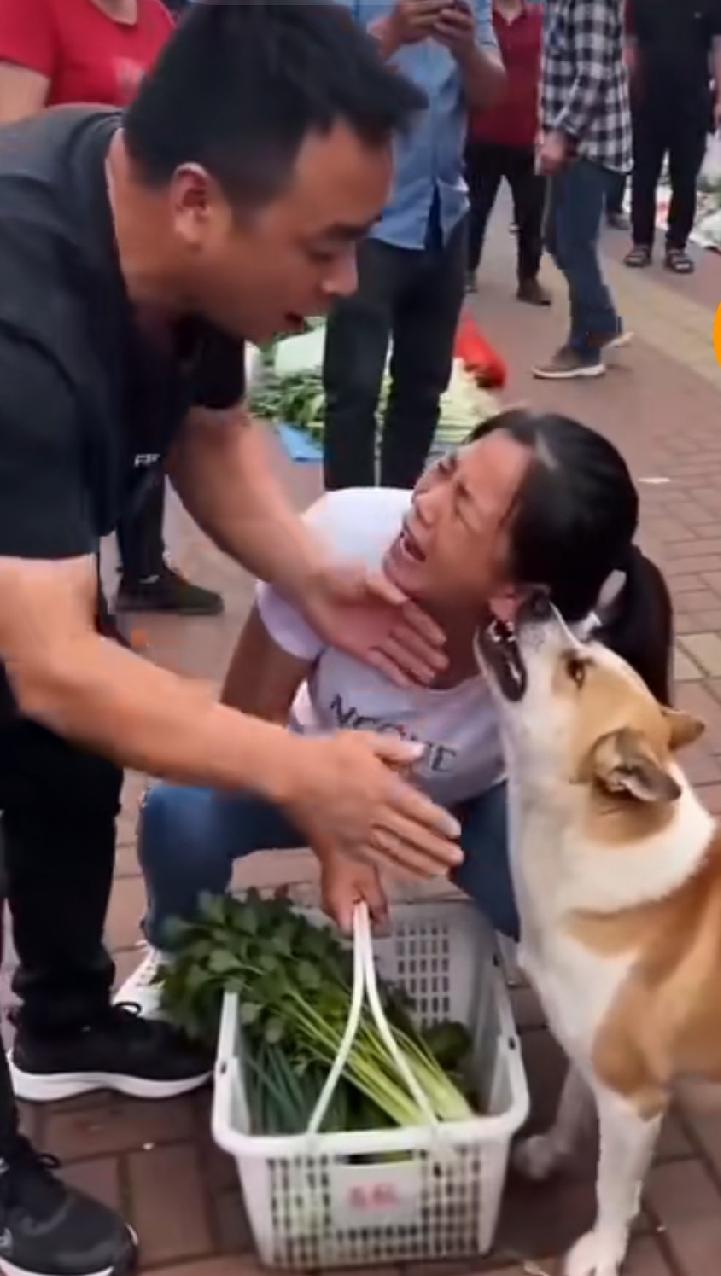 这耳朵怎么被狗咬住了？旁边这个人把手叉开是什么意思？