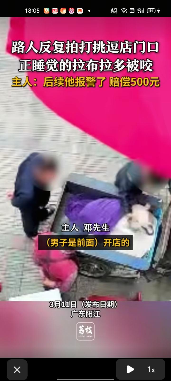 3月8日，广东阳江。网友晒出监控视频，狗子再三轮车上睡觉，几位路人反复拍打、挑逗