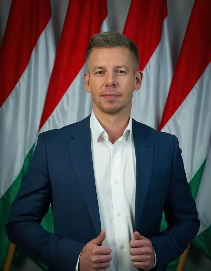 一个国家的总理，身边没有警察，没有保安，连个24小时的警卫都不配。这件事要是