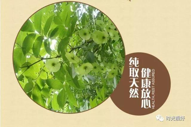 青钱柳能降三高, 那都是因为它!