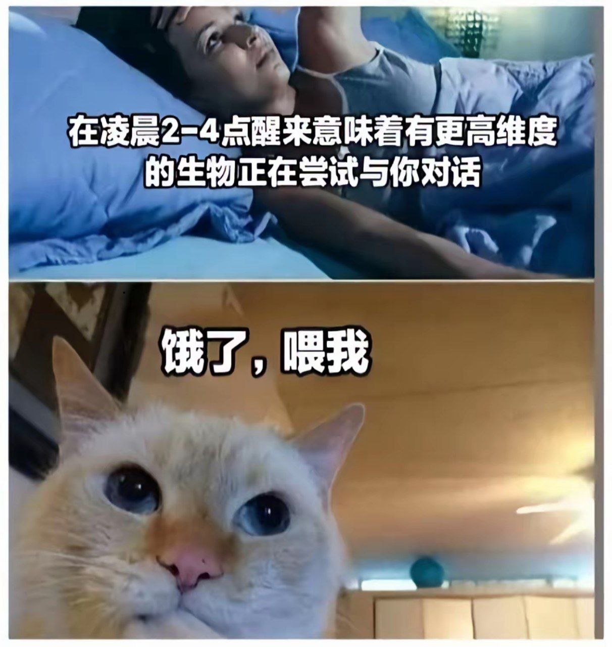 喂我