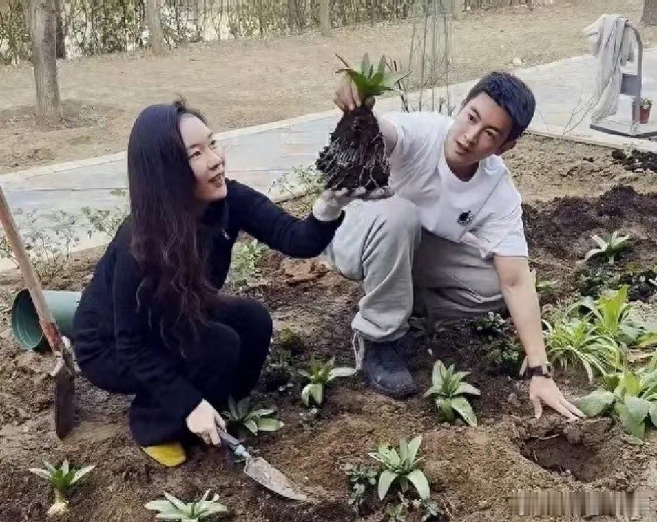 霍思燕那么有钱居然自己亲自动手种花种菜
