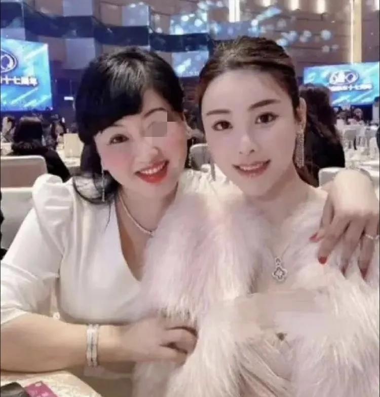 温婉的蔡天凤长的很淑女，她妈妈的长相更像富婆。蔡天凤和她妈妈长的不太像。女孩