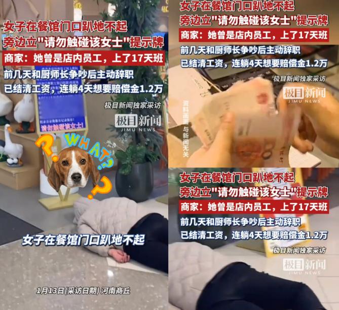 “脸都不要了！”河南商丘一女子在餐馆工作17天，和厨师长吵完架主动辞职，工资都结