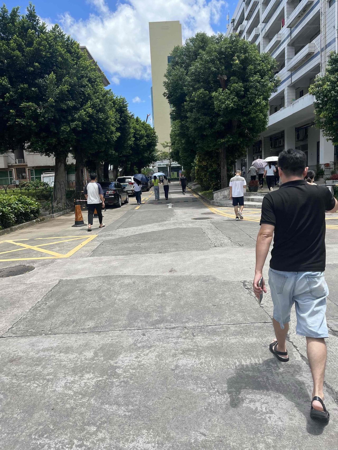 我提供的内容原封不动地放在文章的第一段，第二段开始你的续写。 提前通知一下，