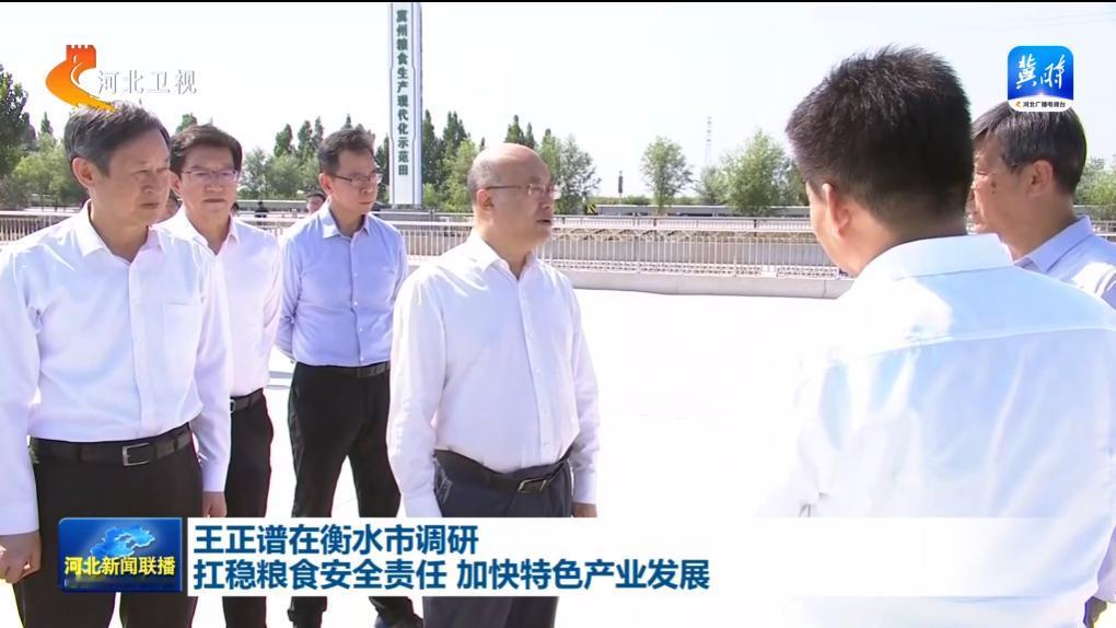 8月11日至12日，河北省领导在衡水市调研。