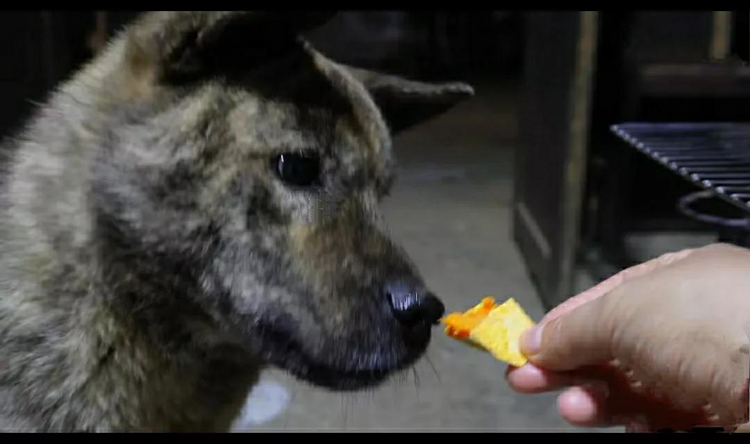 总会有人问我，你山居的意义是什么？吃的不好，住的不好，孤独又无聊其实，一生很
