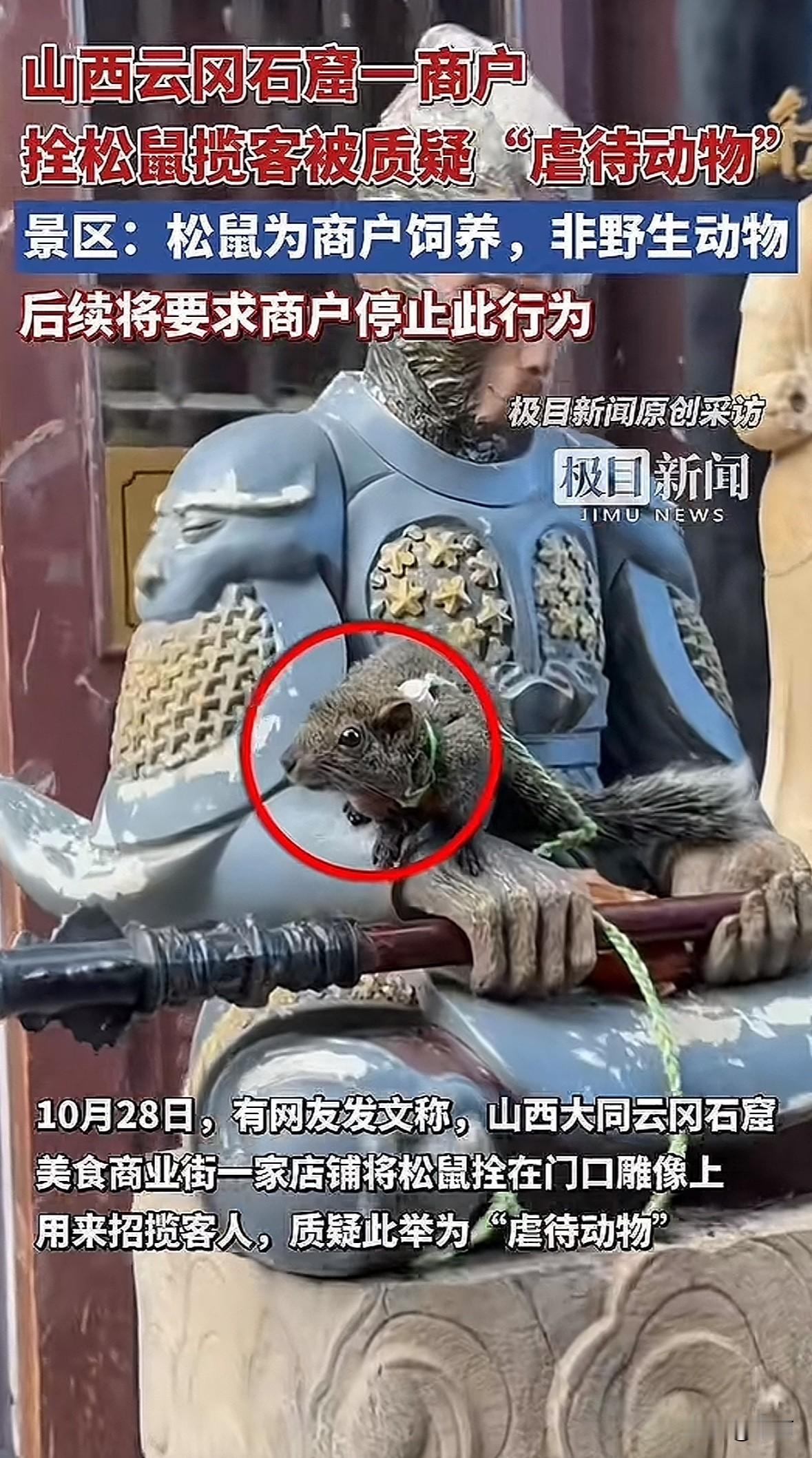 10月28日,有网友说山西大同云冈石窟美食商业街一家店铺,把松鼠拴在门口雕像上招