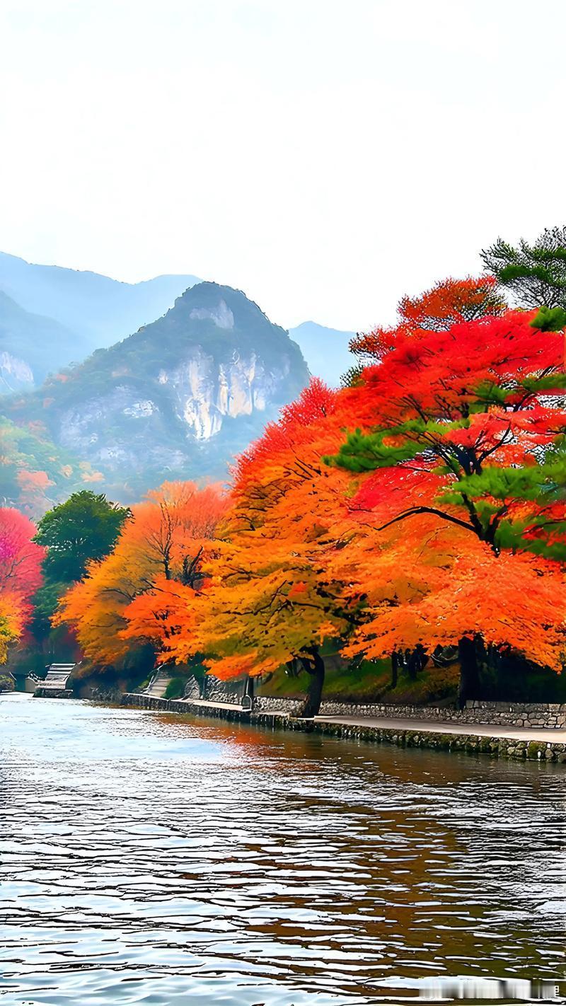 生肖马枝节横生，事与愿违整体：7日大雪节气后，将步入“子午相冲”“伤官驾杀”之运