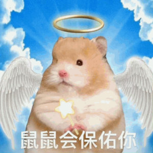 每日祈祷让齐齐三号顺利见到大哥