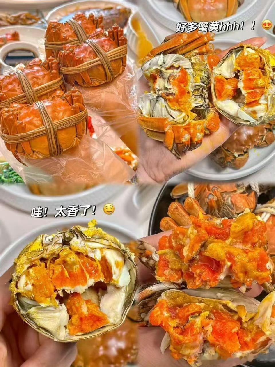 阳澄湖大闸蟹有了平替秋风起蟹脚痒,这波平替福利太香了!从实验室到养殖塘,从品牌溢