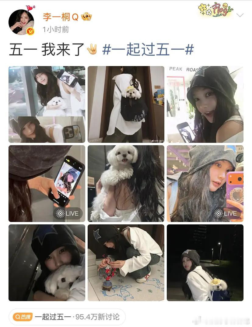 看了下几乎都是九宫格还很多动图90/95花普遍都是这样吗