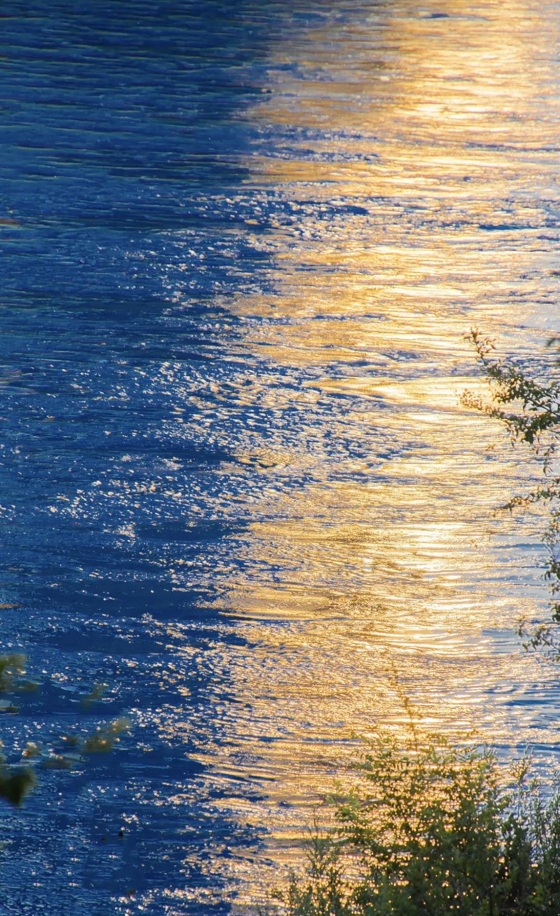 千万别小看读书！女生坚持阅读三年后，相亲对象从'普通职员'变成'CEO'：书卷气