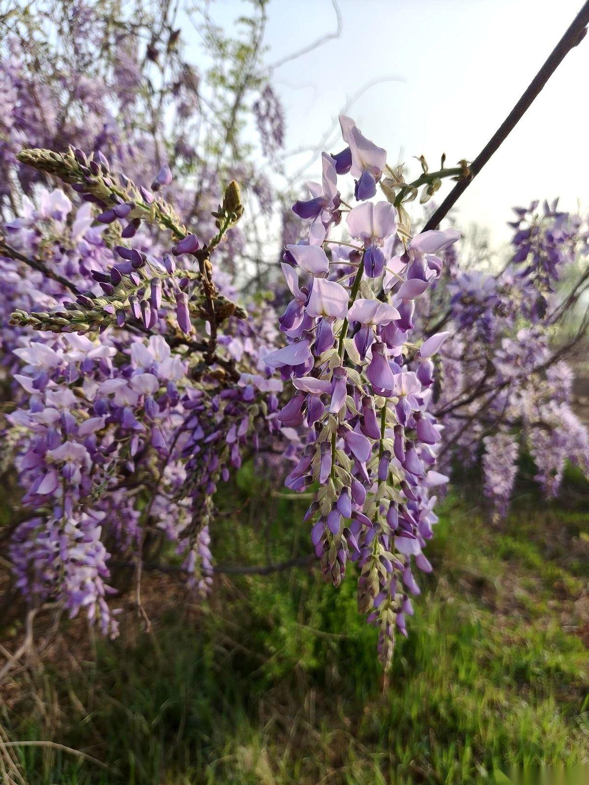 亲戚家那小子，二十出头，在工地上一天三百多，日结，管吃管住。干了没多久，安全帽