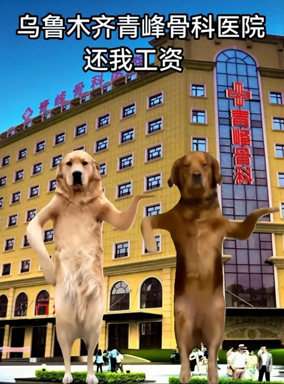 被逼疯，豁出去了！2026年2月2日，陕西大风新闻消息，新疆乌鲁木齐一网友因被