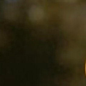 0000南瓜的种植方法1.选地播种：选择阳光充足、排水好的地块。春季土壤升温