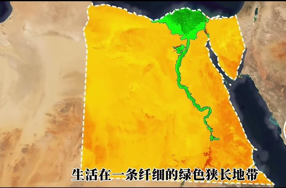 趁着现在光伏组件价格便宜，埃及应该大规模的进口光伏组件。安装在广袤的撒哈拉沙漠之