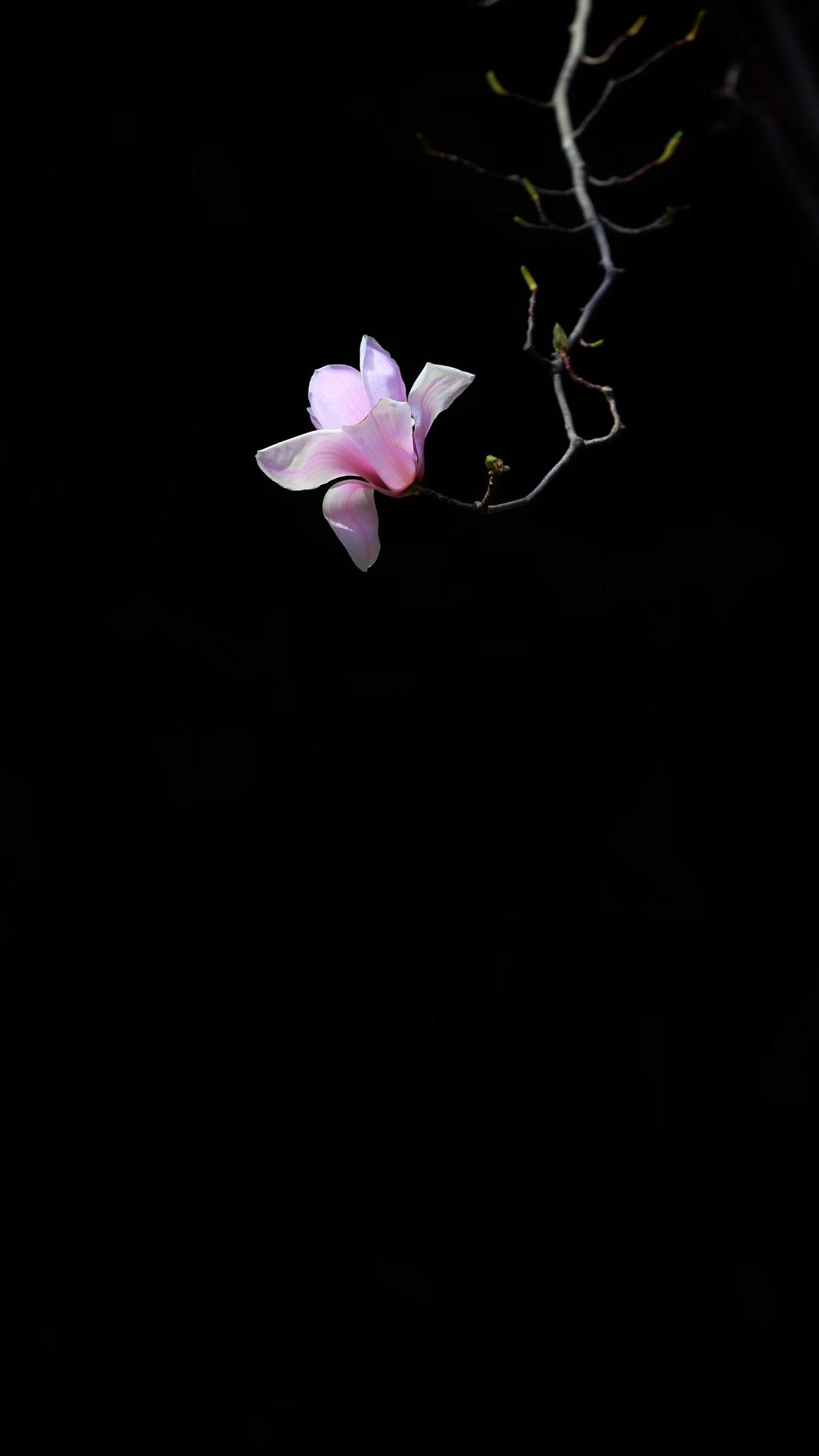 单位一个同事并不出色，也不合群。换了一个新领导，突然被提拔了。人们都感到很吃惊。