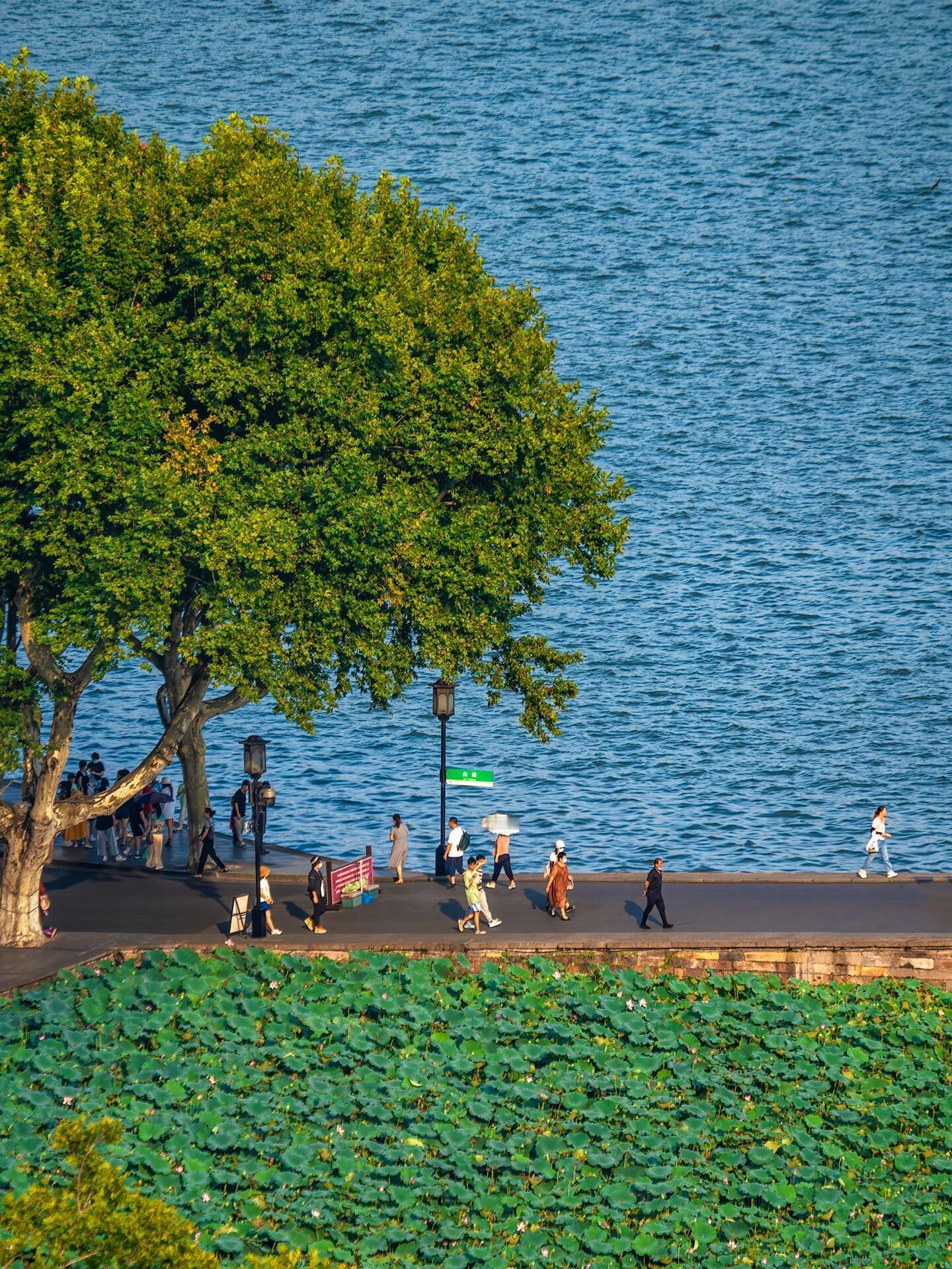 分享个道家养生方法；日常闲着不说话时，俏俏把舌尖顶在上颚，用鼻子慢慢吸气呼气，让