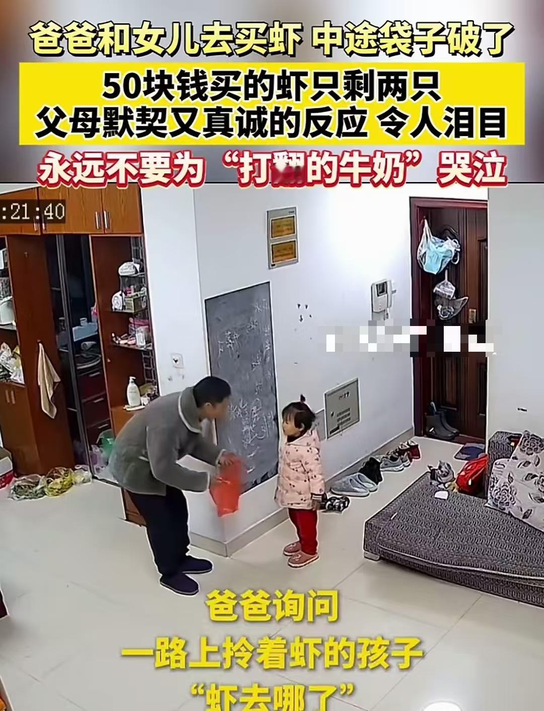 父女俩花50块钱只买了两只虾，本来战战兢兢的，一副准备要随时挨揍的样子，哪知结果