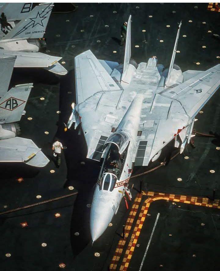 猫宁。甲板上的F-14大猫