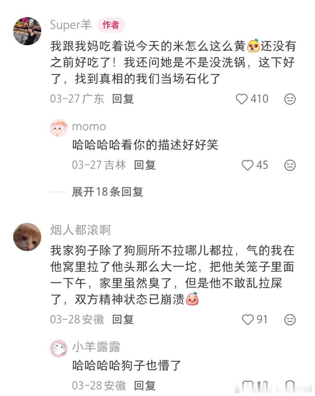 吃完饭才发现猫尿进米缸了