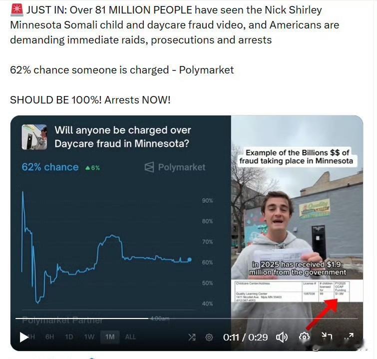 超过8100万人观看了尼克·施利关于明尼苏达州索马里儿童及日托欺诈的视频，美国民