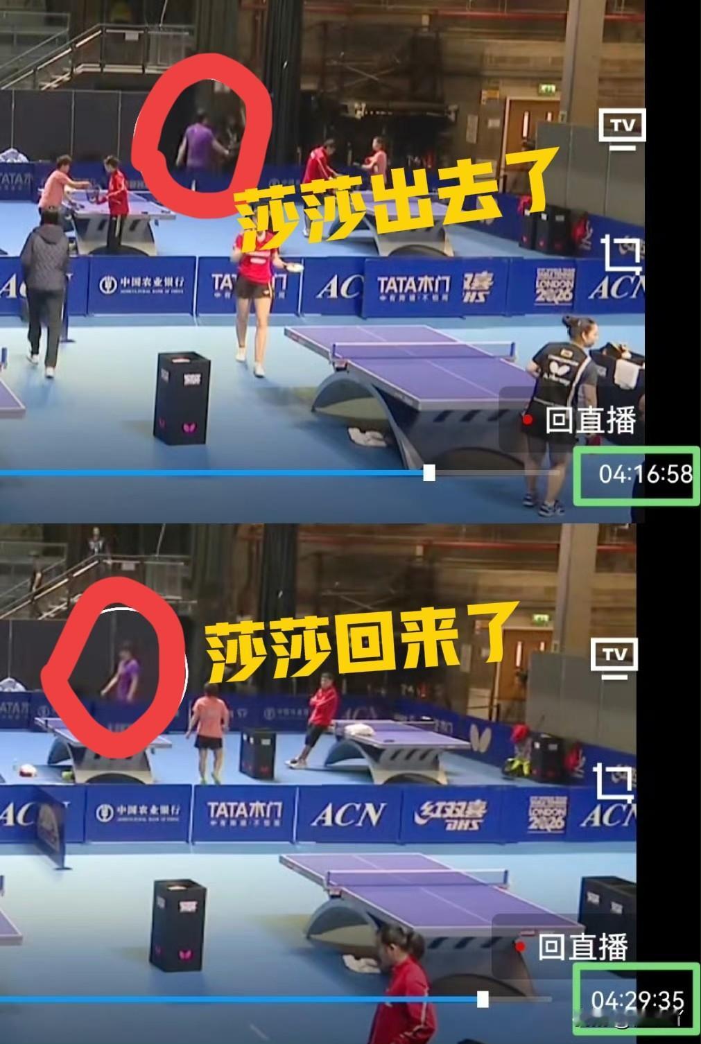 万万没想到，今晚王楚钦打决胜局的时候孙颖莎的举动会如此反常她既没有训练，也没