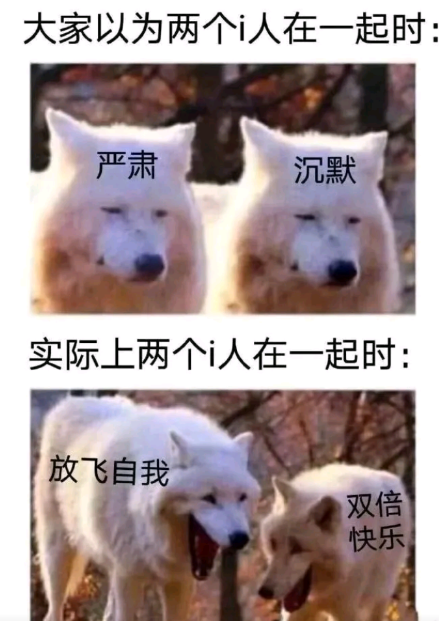 大家以为两个i人在一起时
