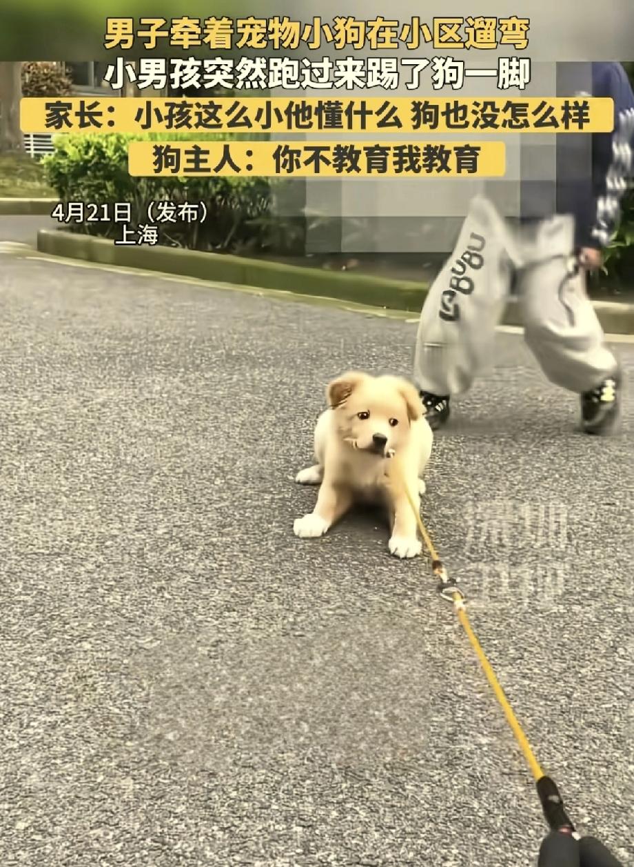 上海，男子牵着小狗在小区遛弯时，突然一男孩跑来踢小狗一脚。他问男孩:“你刚刚踢