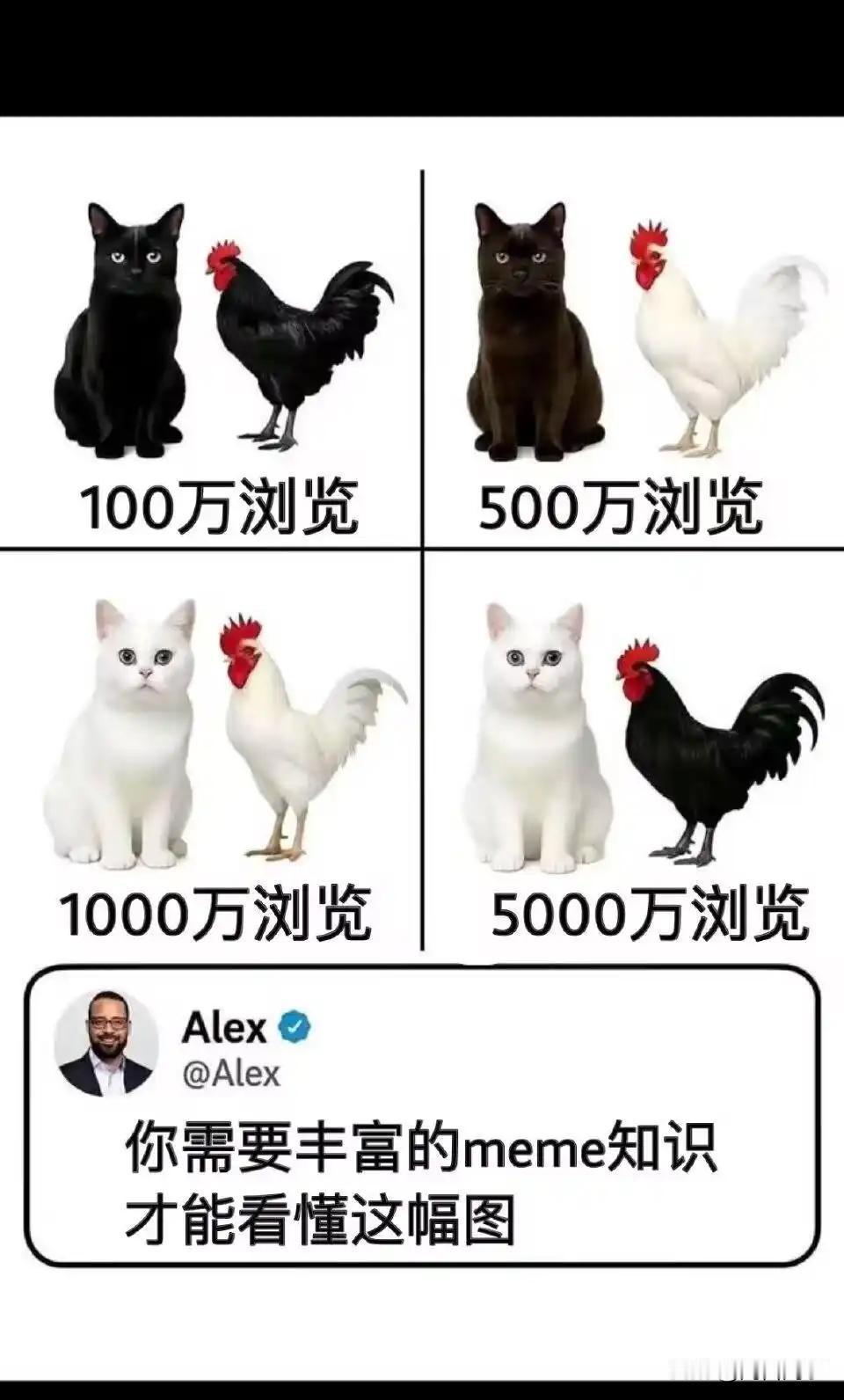 谁能解释下啥意思？