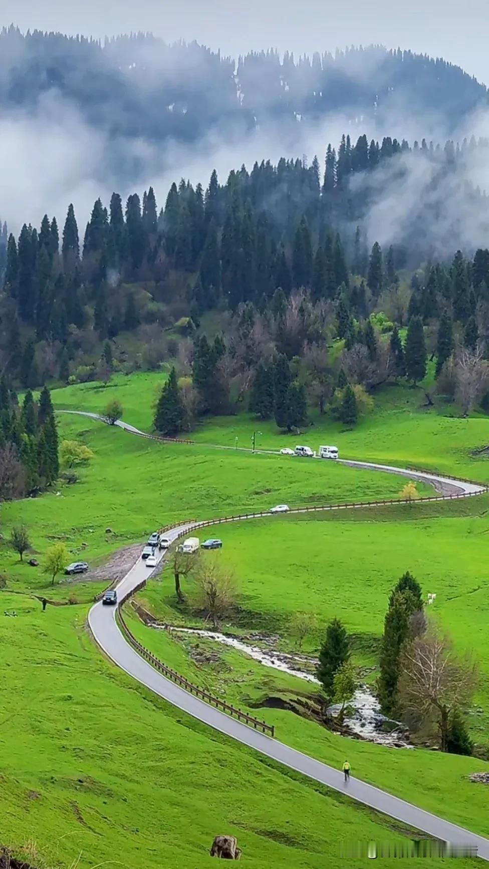 云雾缭绕的山间公路，绿意盎然的田园风光，美不胜收！🌿🚗🌳山路的沿途风景观