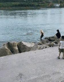 广西贵港，大东码头溺亡的女孩，太可惜了，才14岁，两名同伴摊上事了！知情人透露，