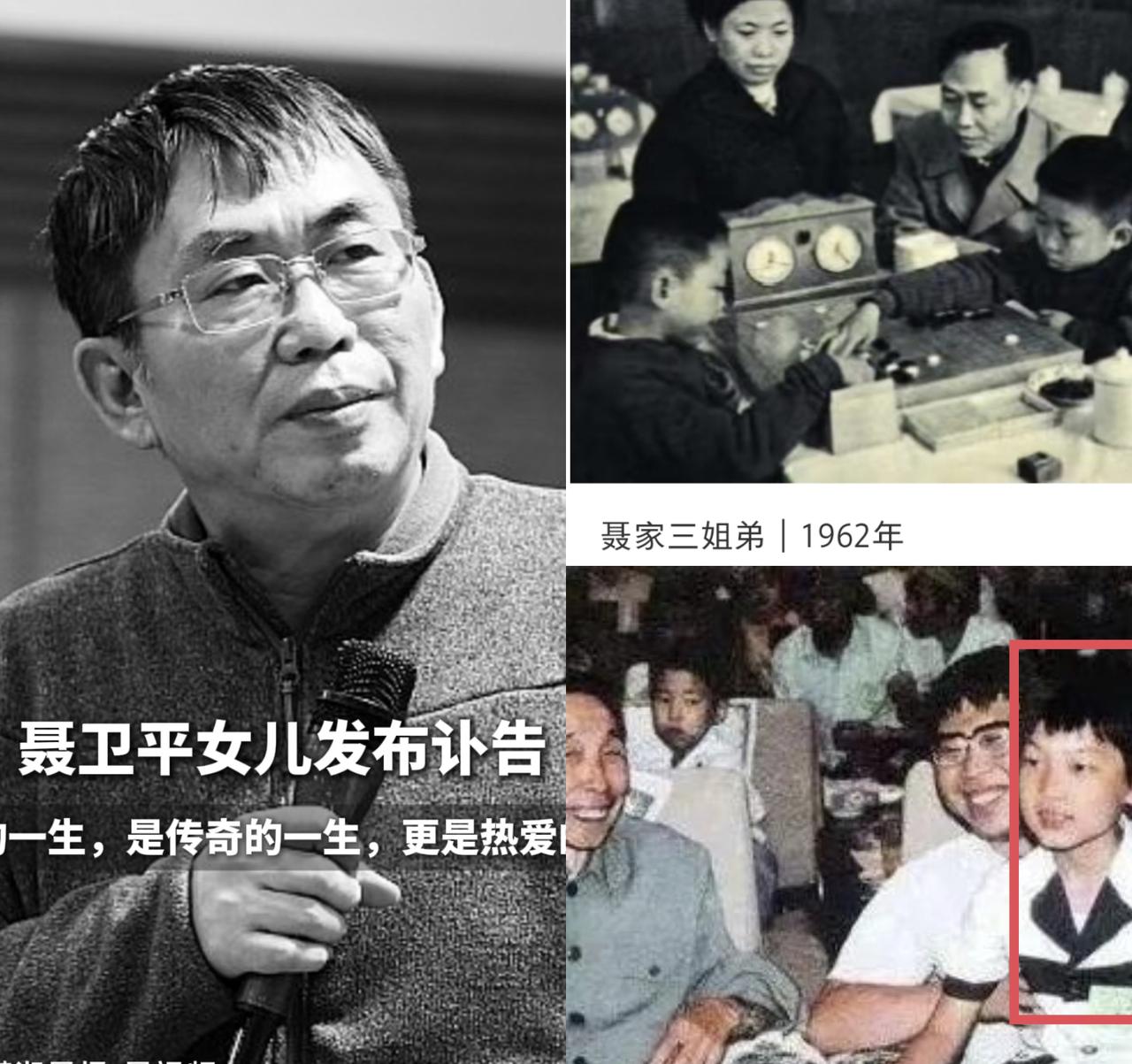 聂卫平没拿过世界冠军？！他徒弟们拿了26个！8岁的常昊在他家打地铺学棋.