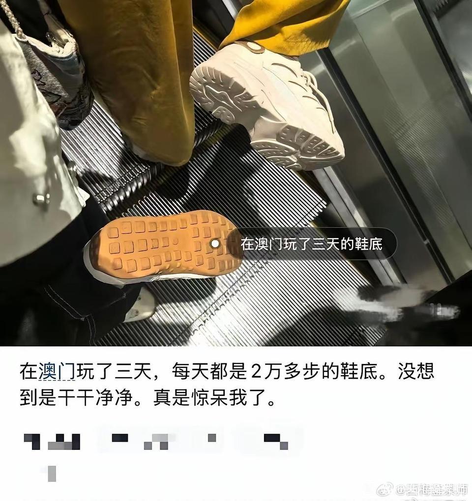 这波属实被澳门的干净程度震惊到了
