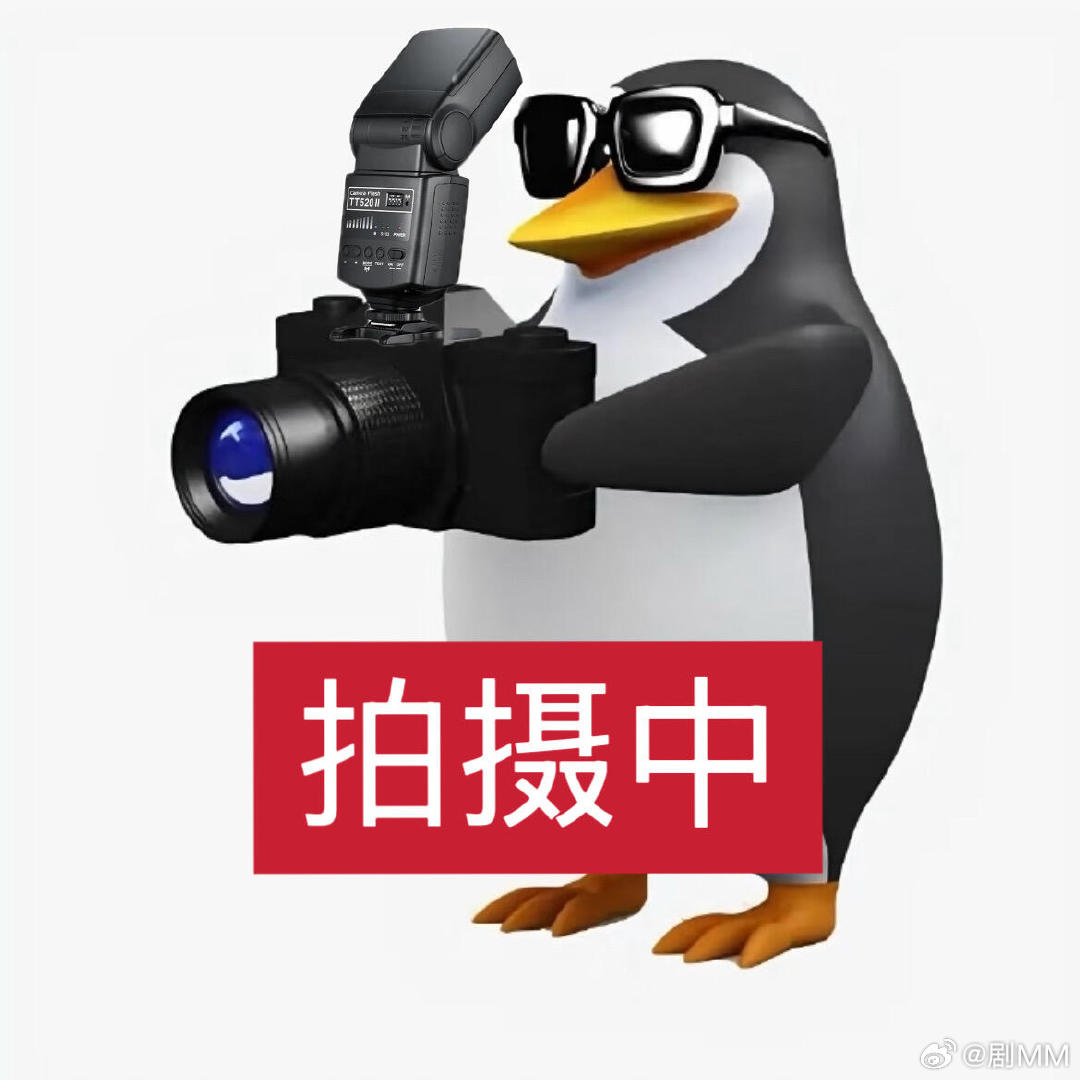 构图真的是摄影里最神奇的一环，它就像给画面施魔法，能把普通的场景变成动人的故事。