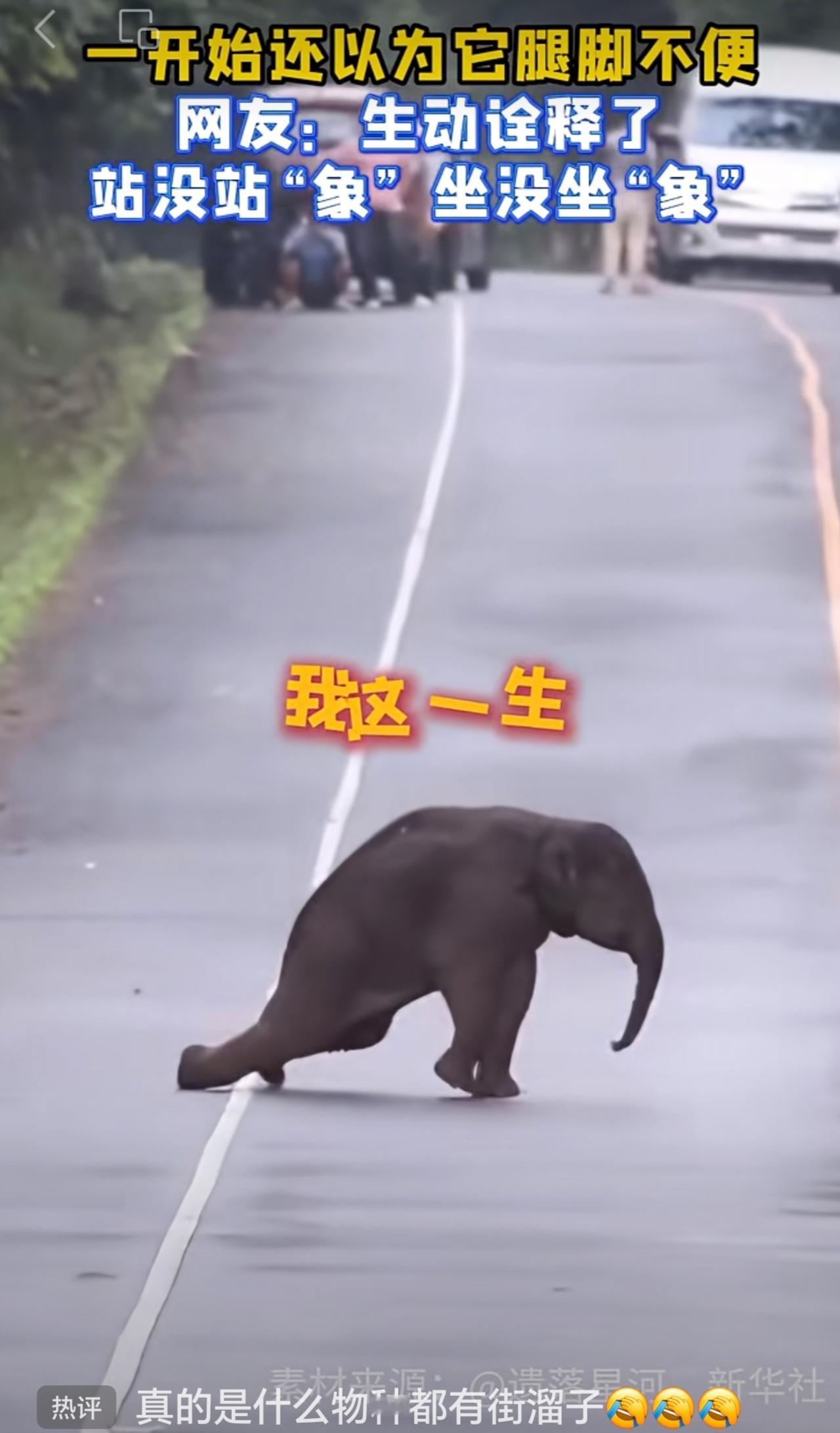 网友：气氛都烘托到这了，结果......搞笑