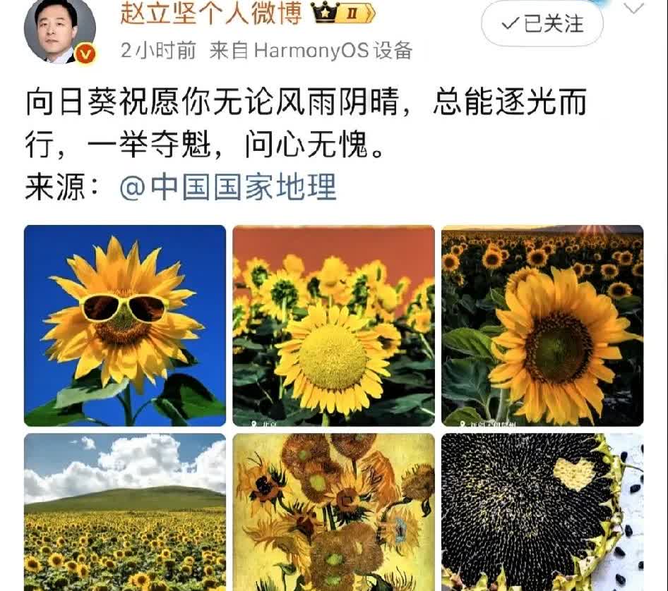 外交官对莎头的鼓励真的是又暖又稳。读书的意义不止于此，读书的意义在于优雅