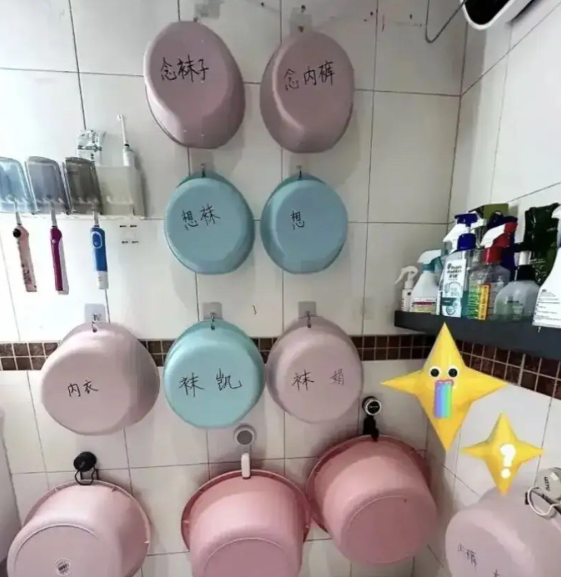 “女生宿舍的盆就是不一样！”