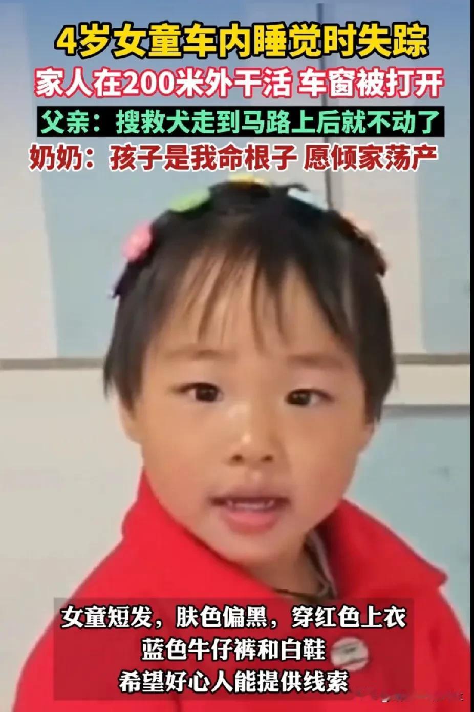 “悬赏10万”！辽宁，4岁女童面包车内蹊跷失联，多方连夜搜救仍无音讯。家属：愿意