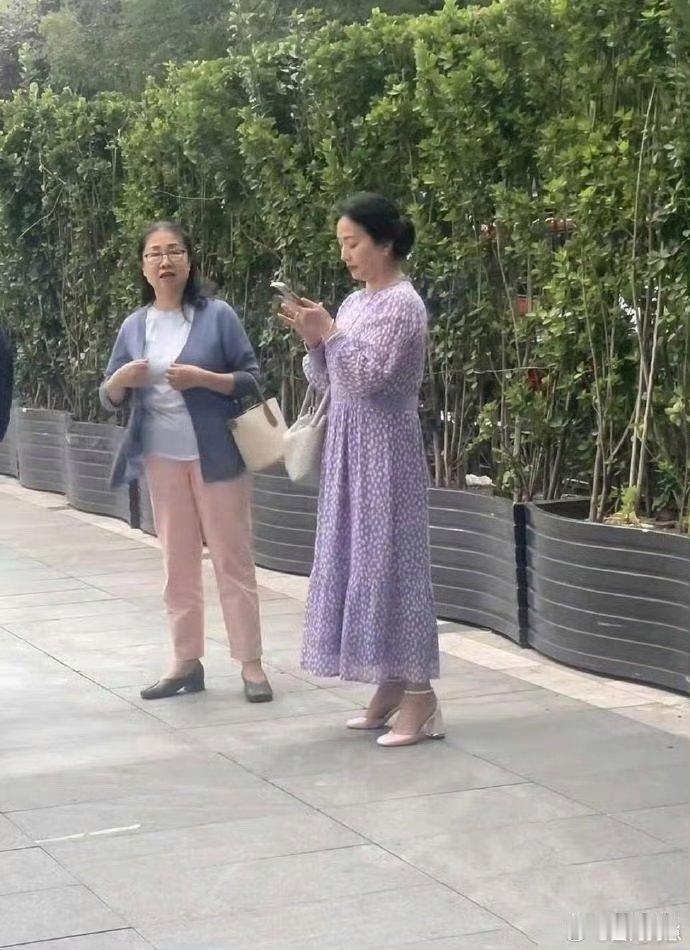 刘亦菲妈妈都已经60多岁了,这状态也太让人惊讶了!无论是身形还是面容,都完全看不