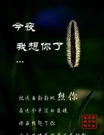 不要让爱你的人，心碎不要让等你的人，失望不要让想你的人，流泪不要让念你的人