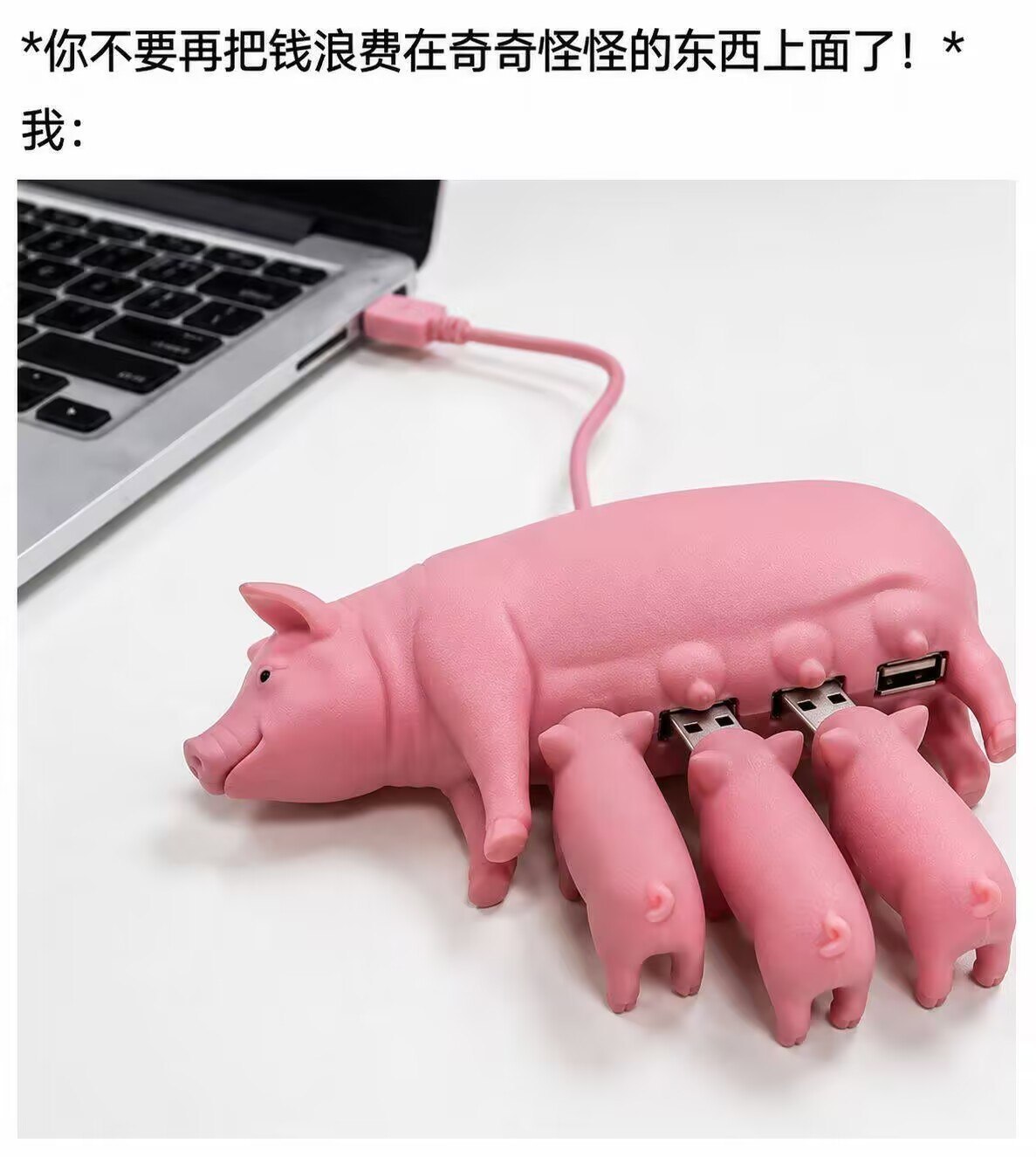 卧槽这个我是真的挺想买的w