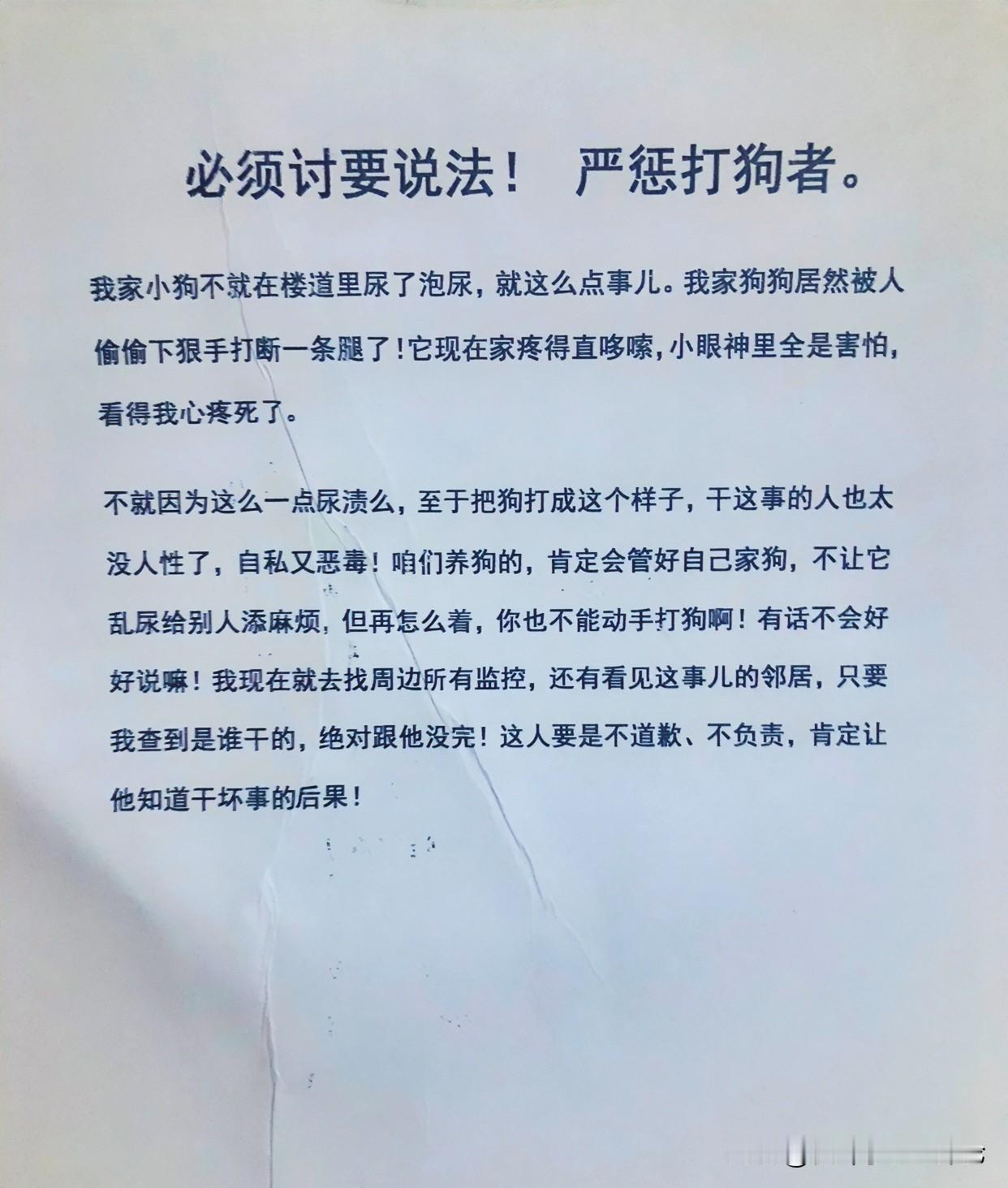 今天在楼道里看到这篇告示我就想知道这个狗主人到底是谁打伤这条狗的又是哪位善