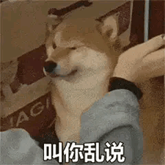 百年前指使义和团攻打东交民巷，窜唆慈禧与世界十一强国宣战的几个家伙，当8国联军打