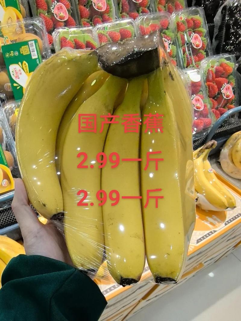为啥大型商超很少卖国产香蕉？真相扎心但很现实逛超市发现一个奇怪的现象：货架上