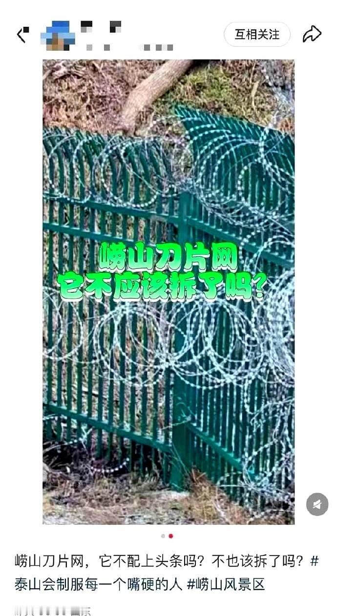 泰山那边135公里的刀片网还没冷透，青岛崂山这边，同款的就给你架起来了。一张照
