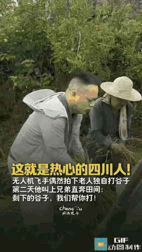 “破防了。”四川广安一位小学音乐老师李江，原本只是想用无人机拍点稻田丰收的景色。